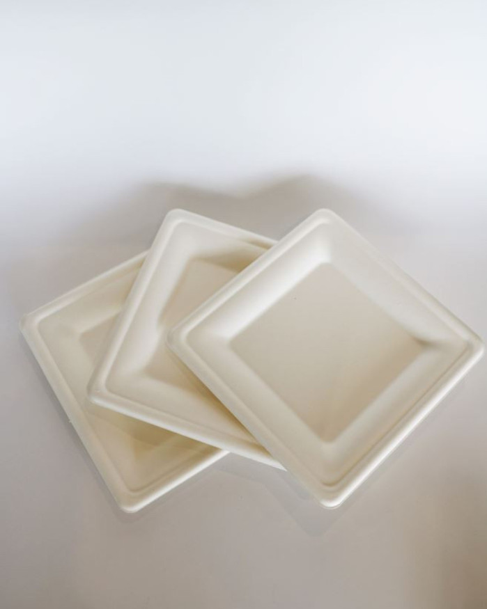 ASSIETTES JETABLES - 50 PIÈCES
