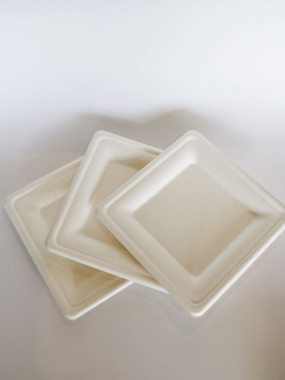 ASSIETTES JETABLES - 50 PIÈCES